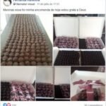 Resultados Reais de Alunas